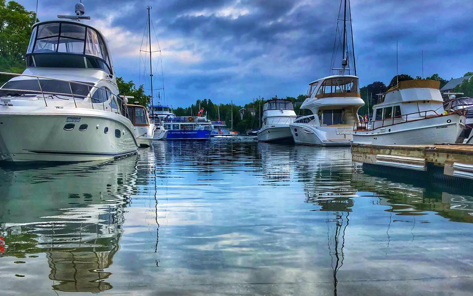 Lion's Head Marina