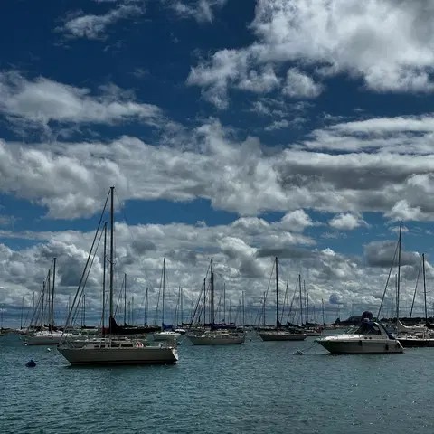 Jackson Park Inner Harbor