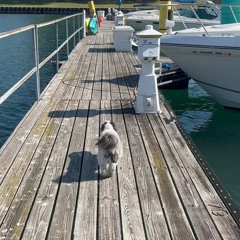 Jackson Park Inner Harbor