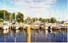 Nelson Marine Basin