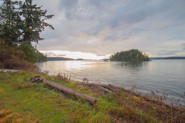 Thetis Island Marina