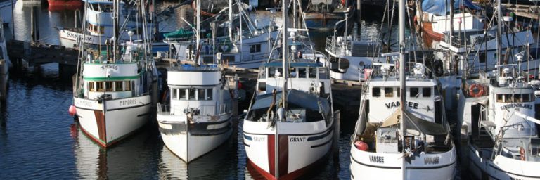 Emerald Harbor Marine