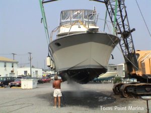 Toms Point Marina