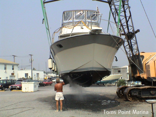 Toms Point Marina
