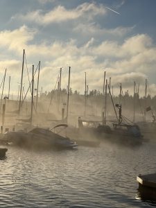 Port Of Brownsville Marina