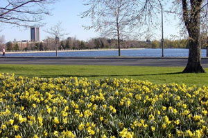 Dow's Lake Pavillon Marina