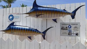 Bimini Big Game Club