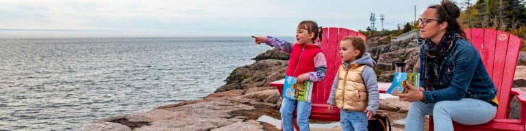 Stovin Island Centre Dock (Parks Canada)