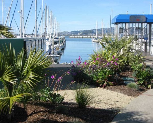 Emery Cove Yacht Harbor