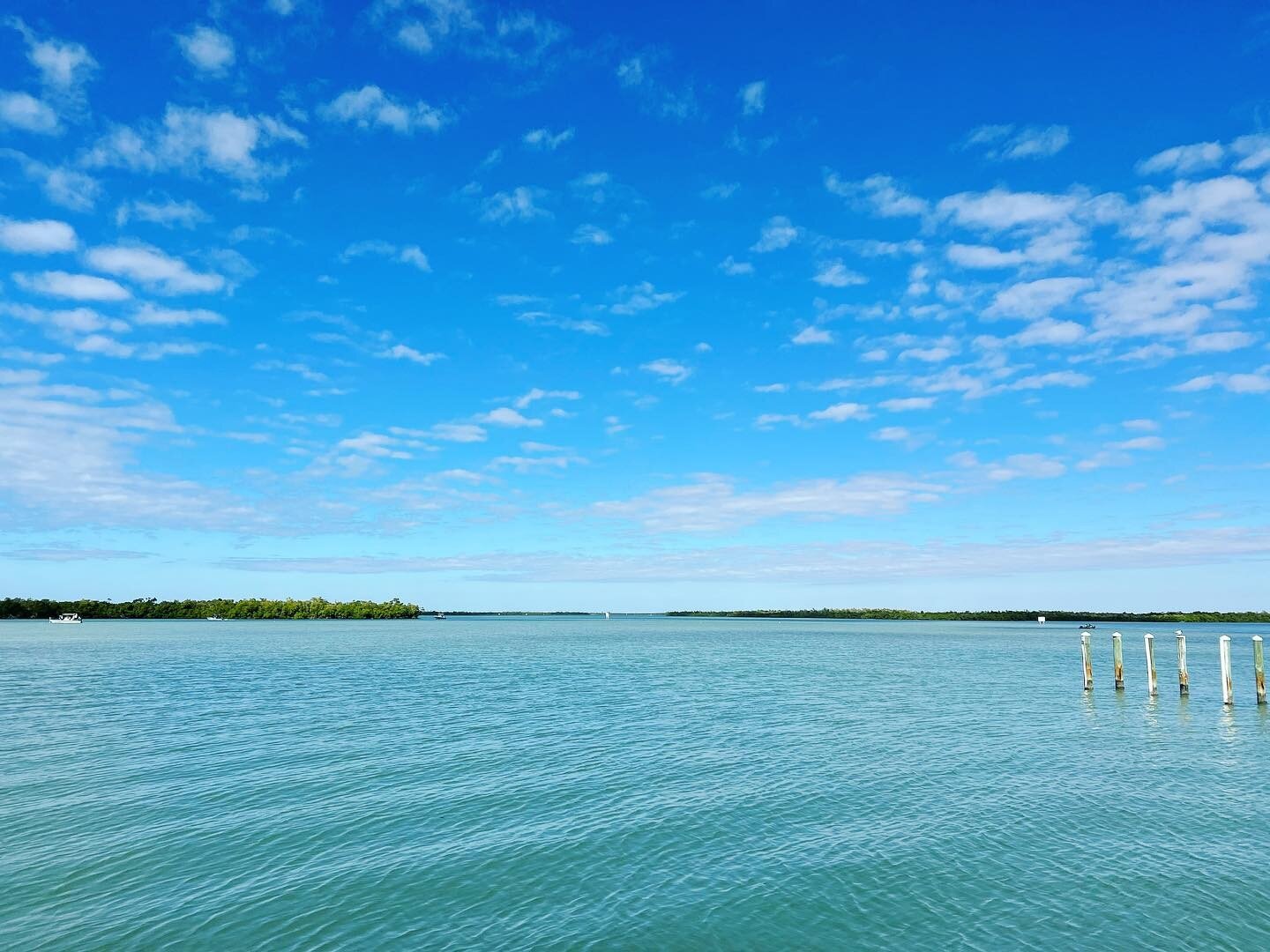 Pelican Bend Marina