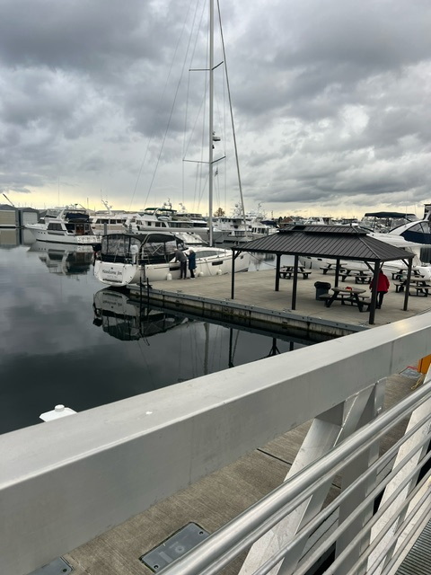 Seattle Singles Yacht Club