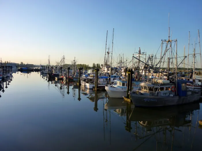 Steveston Harbour Authority