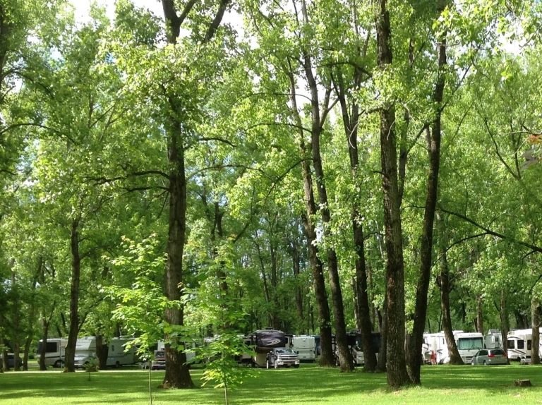 Arrowhead Marina And Rv Park