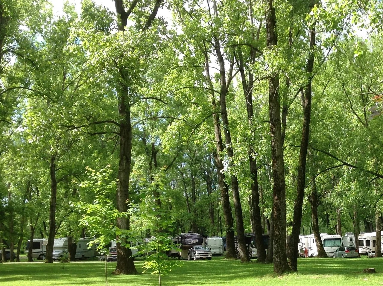 Arrowhead Marina And Rv Park