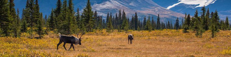 Aubrey Island North (Parks Canada)