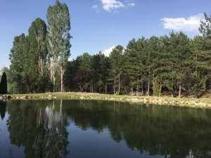 Screen Shot at . . PM