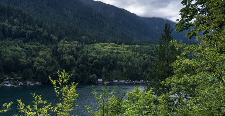 Screen Shot at . . PM