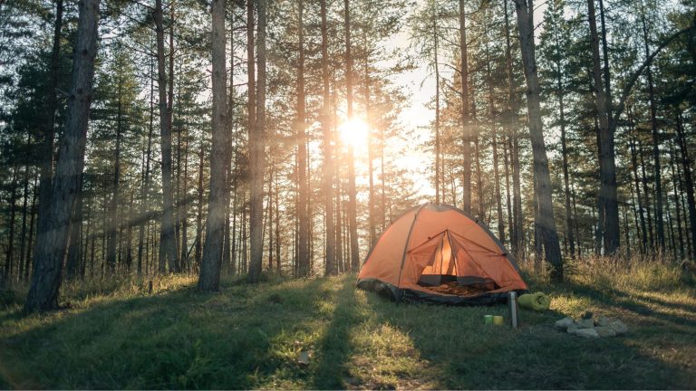 Dispersed Camping