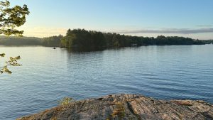 Early Morning Fishing