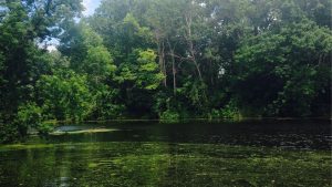 Fishing Cove