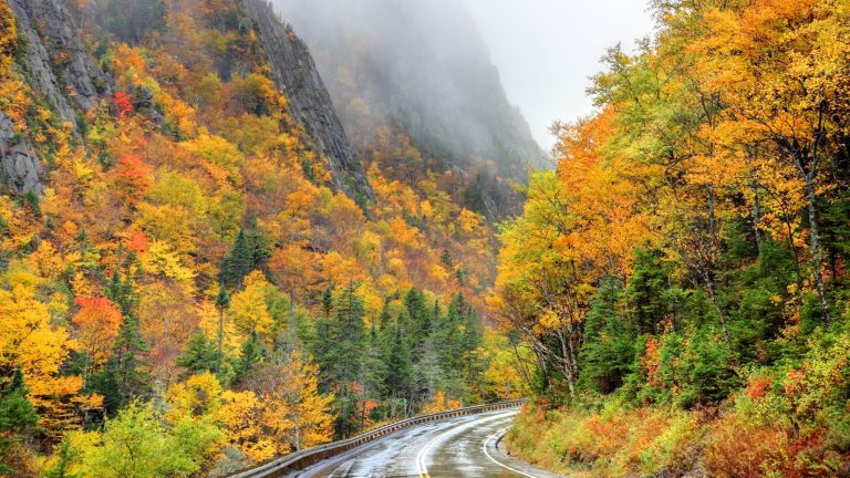 Barlett White Mountains New Hampshire