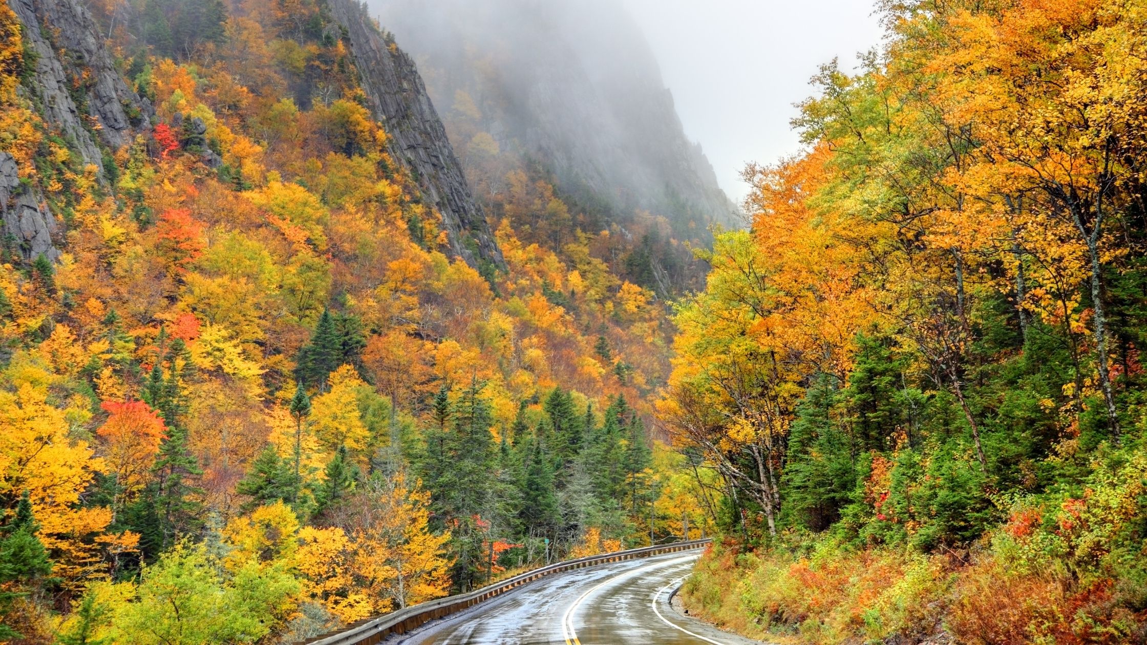 Barlett White Mountains New Hampshire