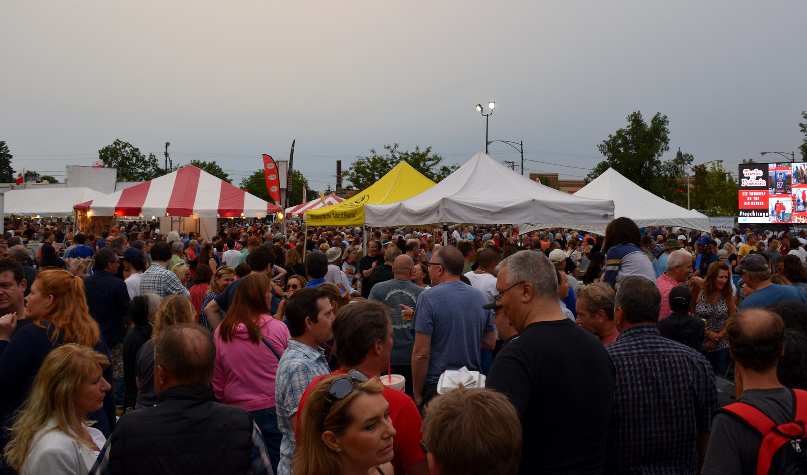 Taste of Polonia Crowds