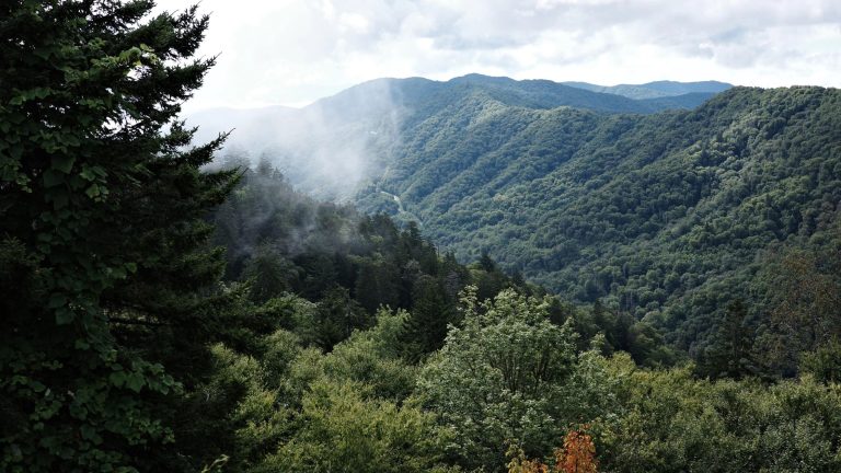 Newfound Gap