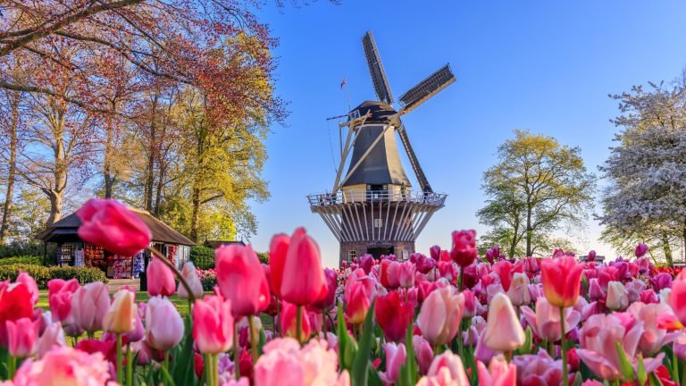 Netherlands Vacation Rentals