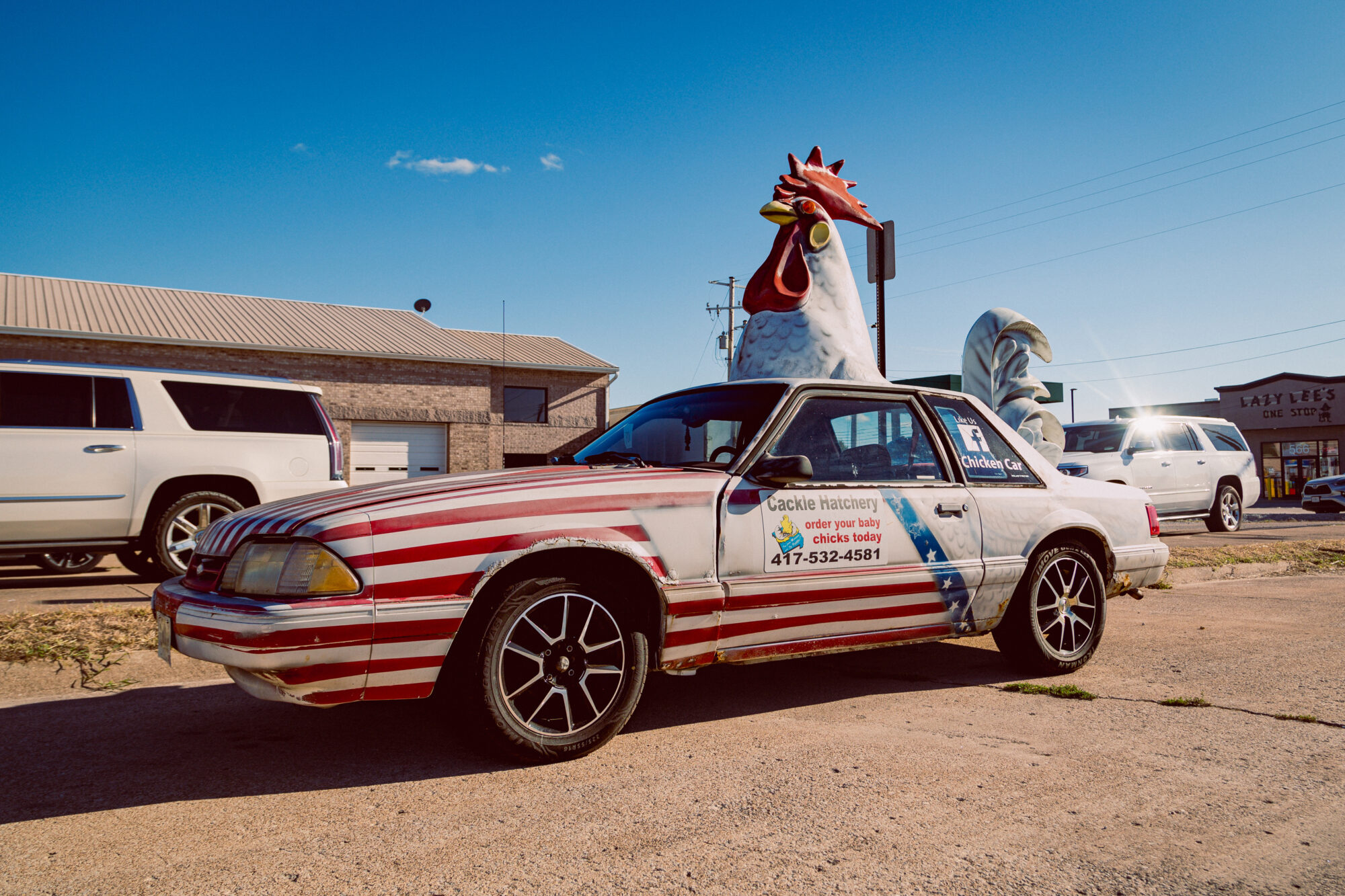 Cackle Hatchery Annual Chicken Festival car