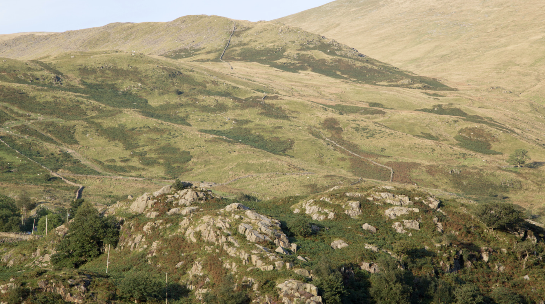 Screenshot at . . PM