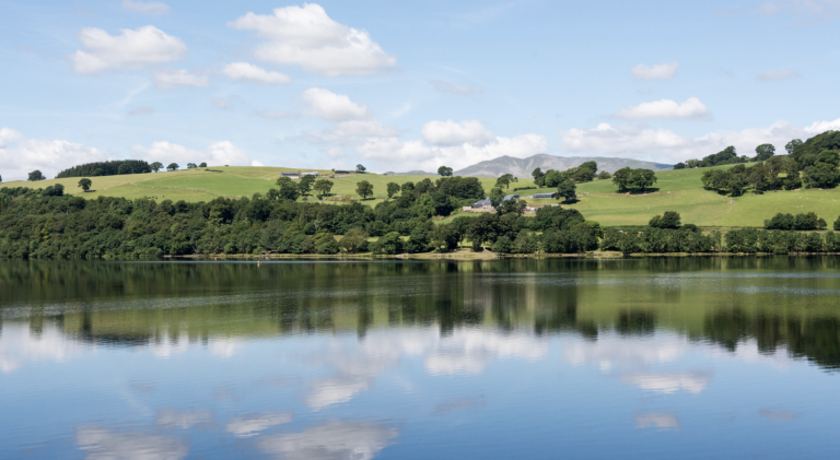 Screenshot at . . PM