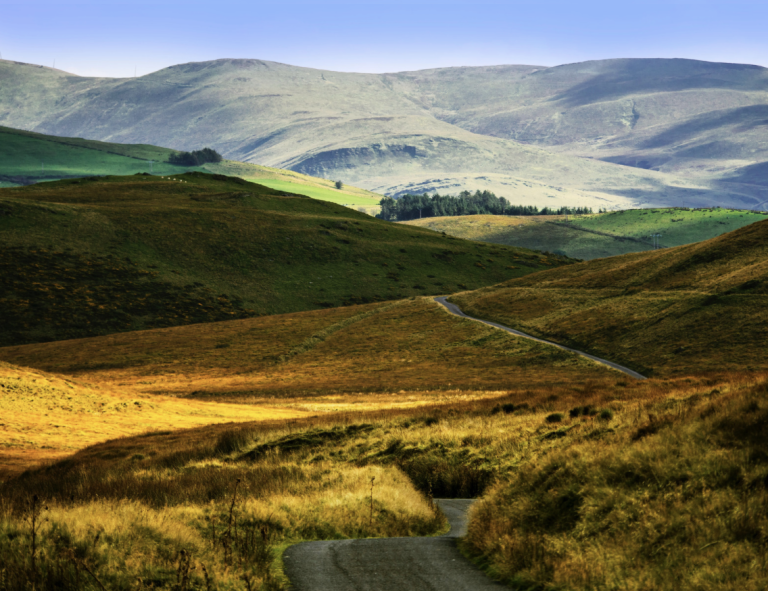 Screenshot at . . PM