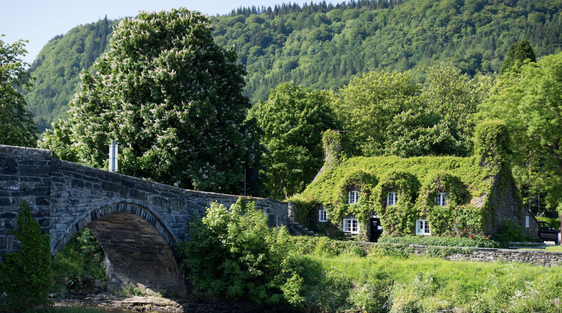 Screenshot at . . PM