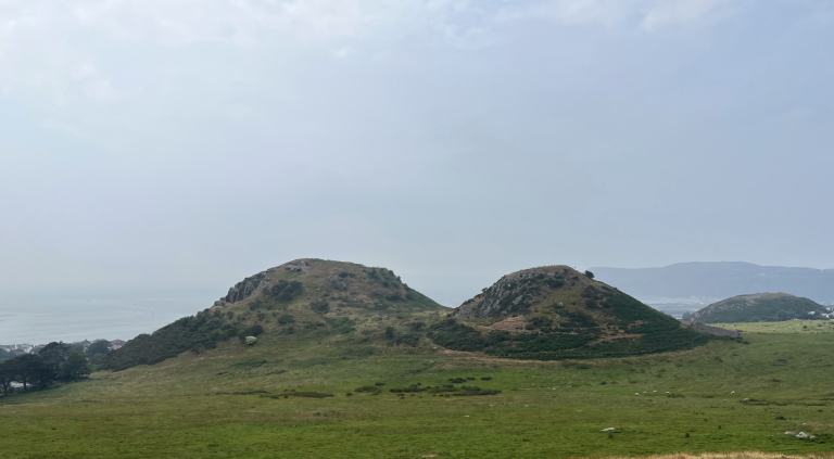 Screenshot at . . PM