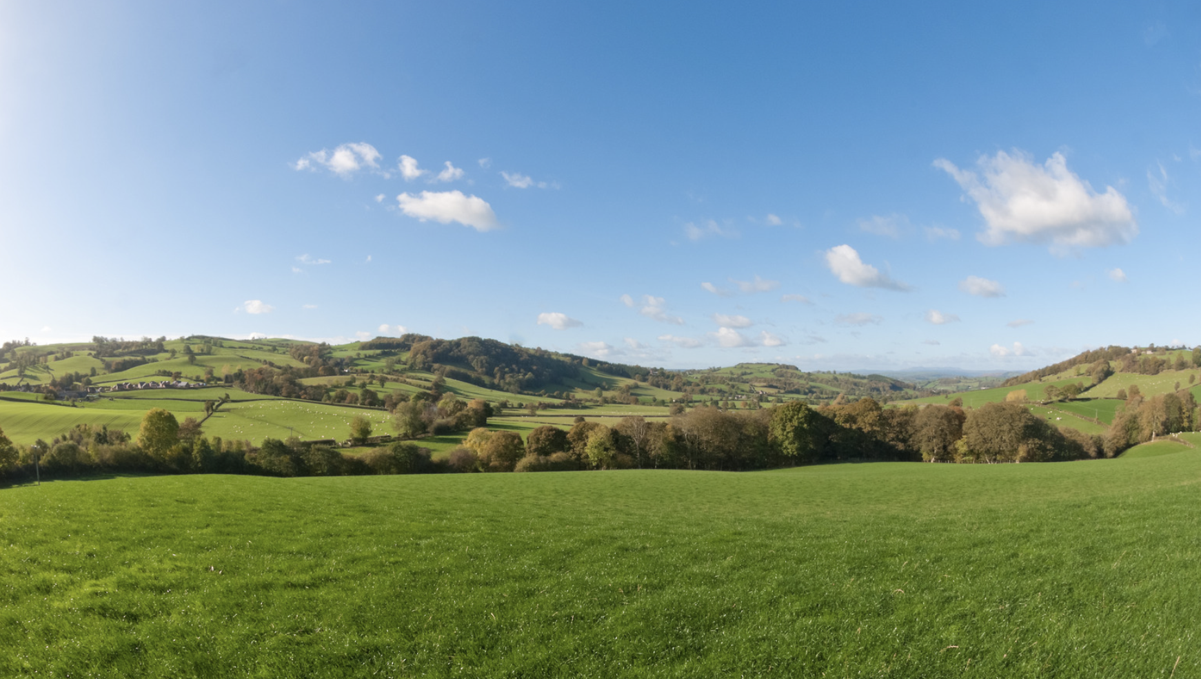 Screenshot at . . PM