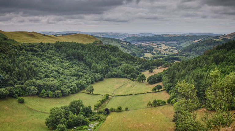 Screenshot at . . PM