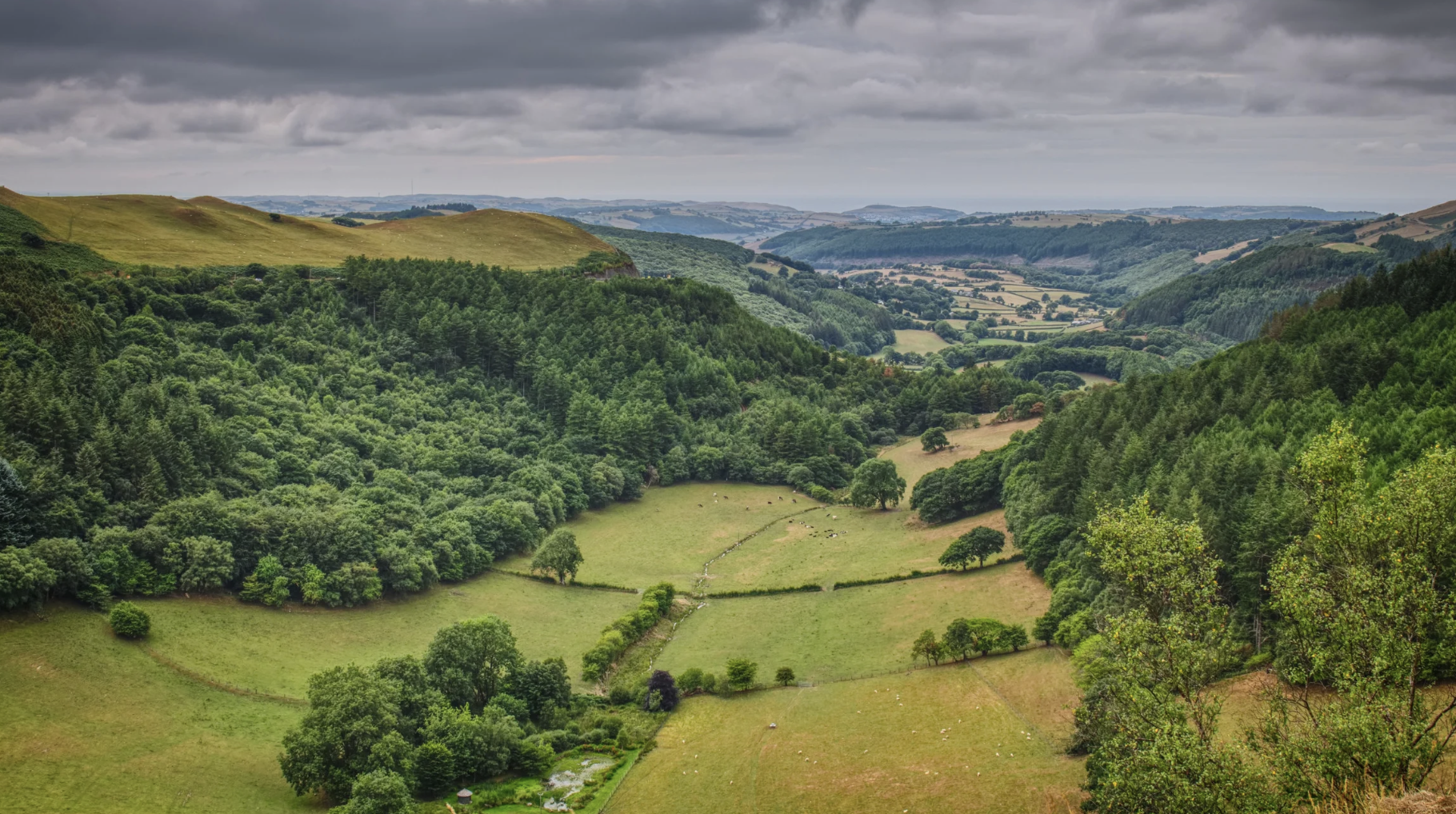 Screenshot at . . PM