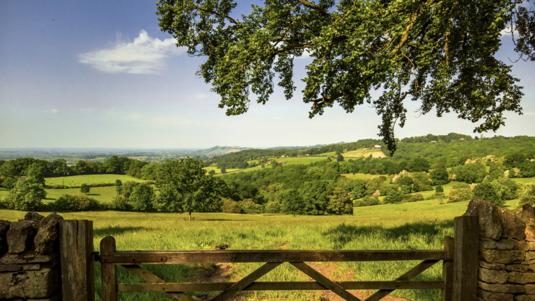 Screenshot at . . PM