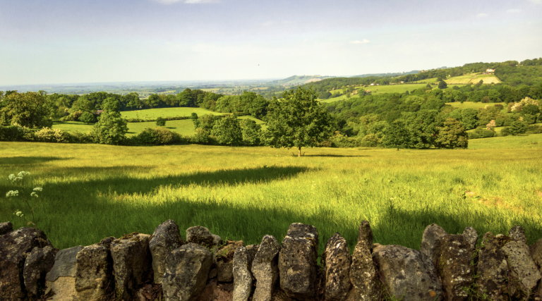 Screenshot at . . AM