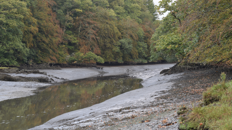 Screenshot at . . AM