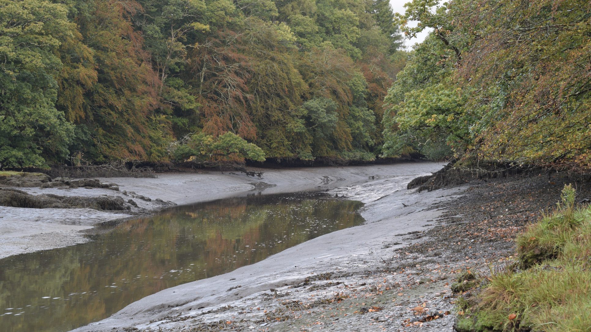 Screenshot at . . AM