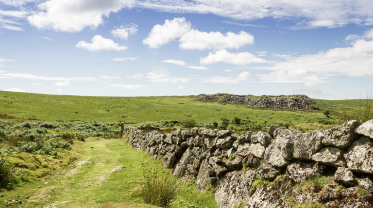 Screenshot at . . AM