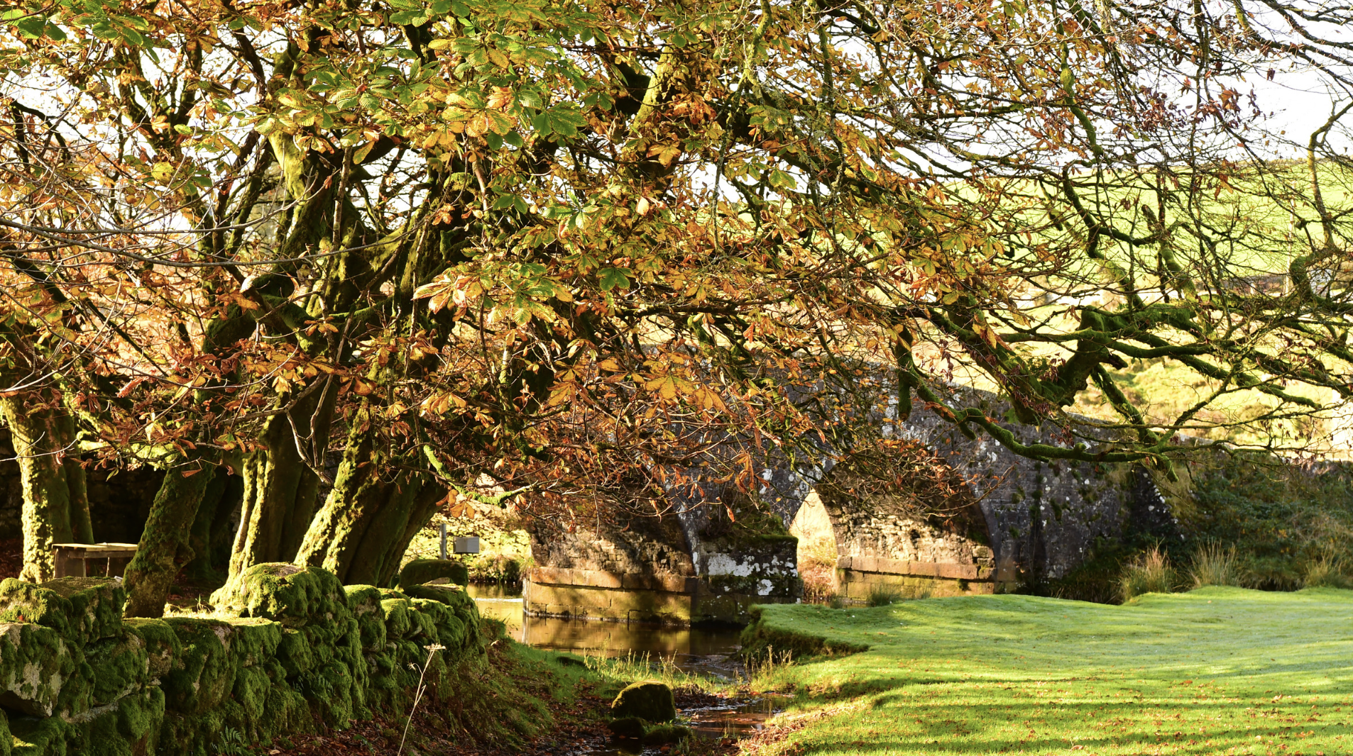 Screenshot at . . PM