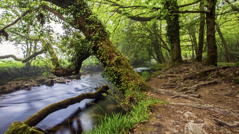 Screenshot at . . PM