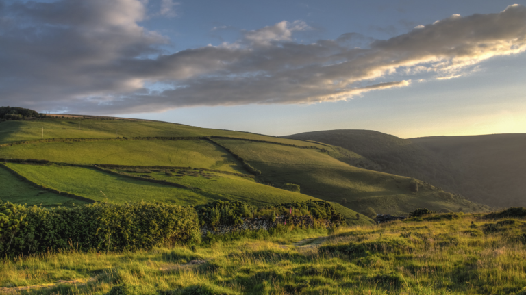 Screenshot at . . PM