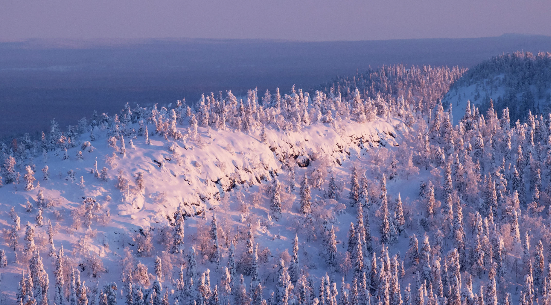 Screenshot at . . AM