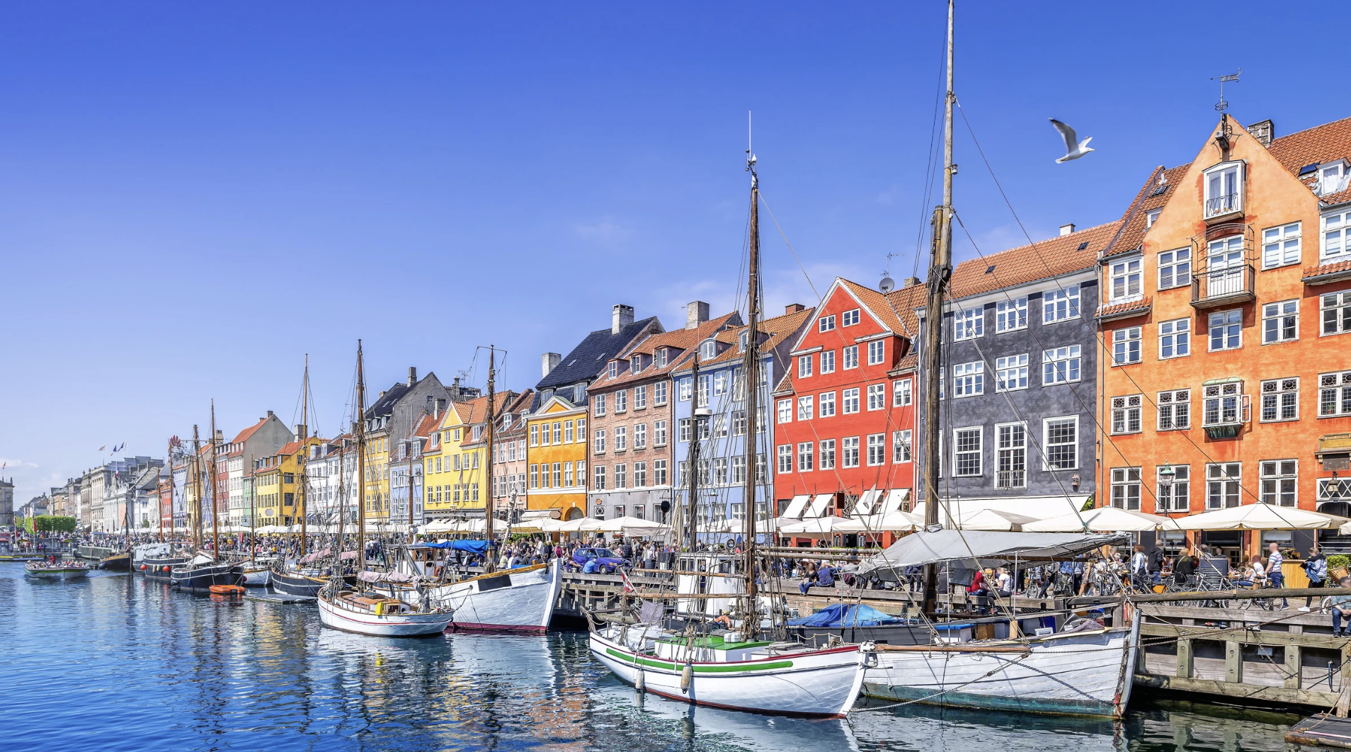 Screenshot at . . PM