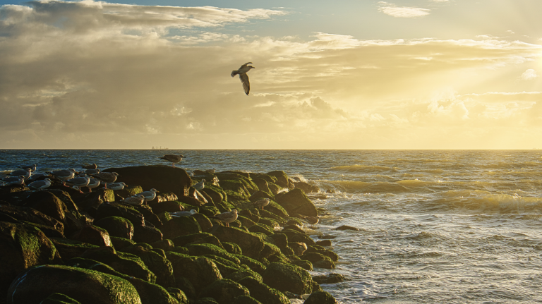 Screenshot at . . PM