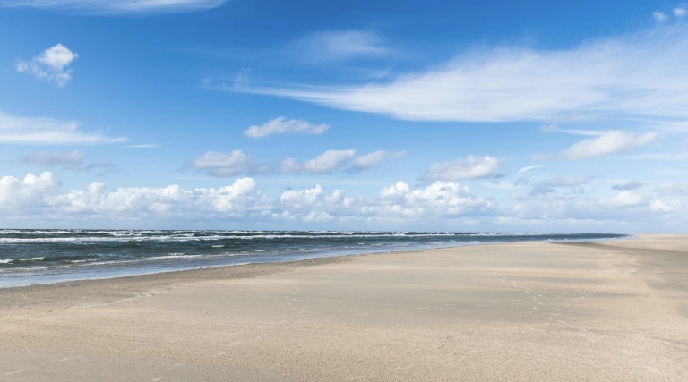 Screenshot at . . PM